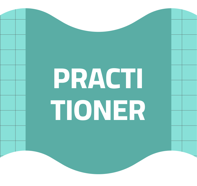 Practitioner: Conference Day